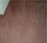 Finished carpet cleaning